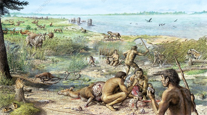 Pleistocene hominins at Happisburgh