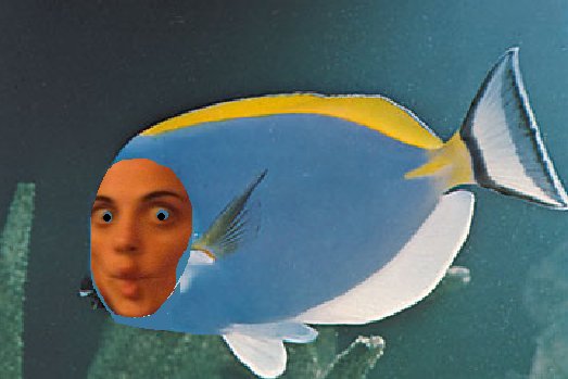 Dimittha Fish Practical Veganism- FAQs – DIANAVERSE